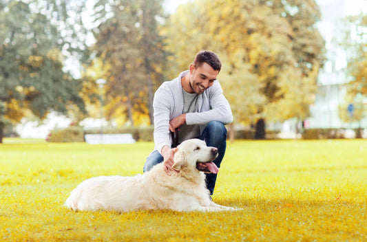 Warum bekommt mein Hund verstopfte Analdrüsen?