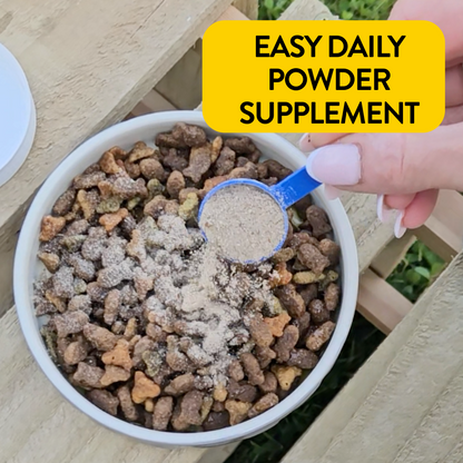 Proflax Flea & Tick Prevention For Dogs & Cats