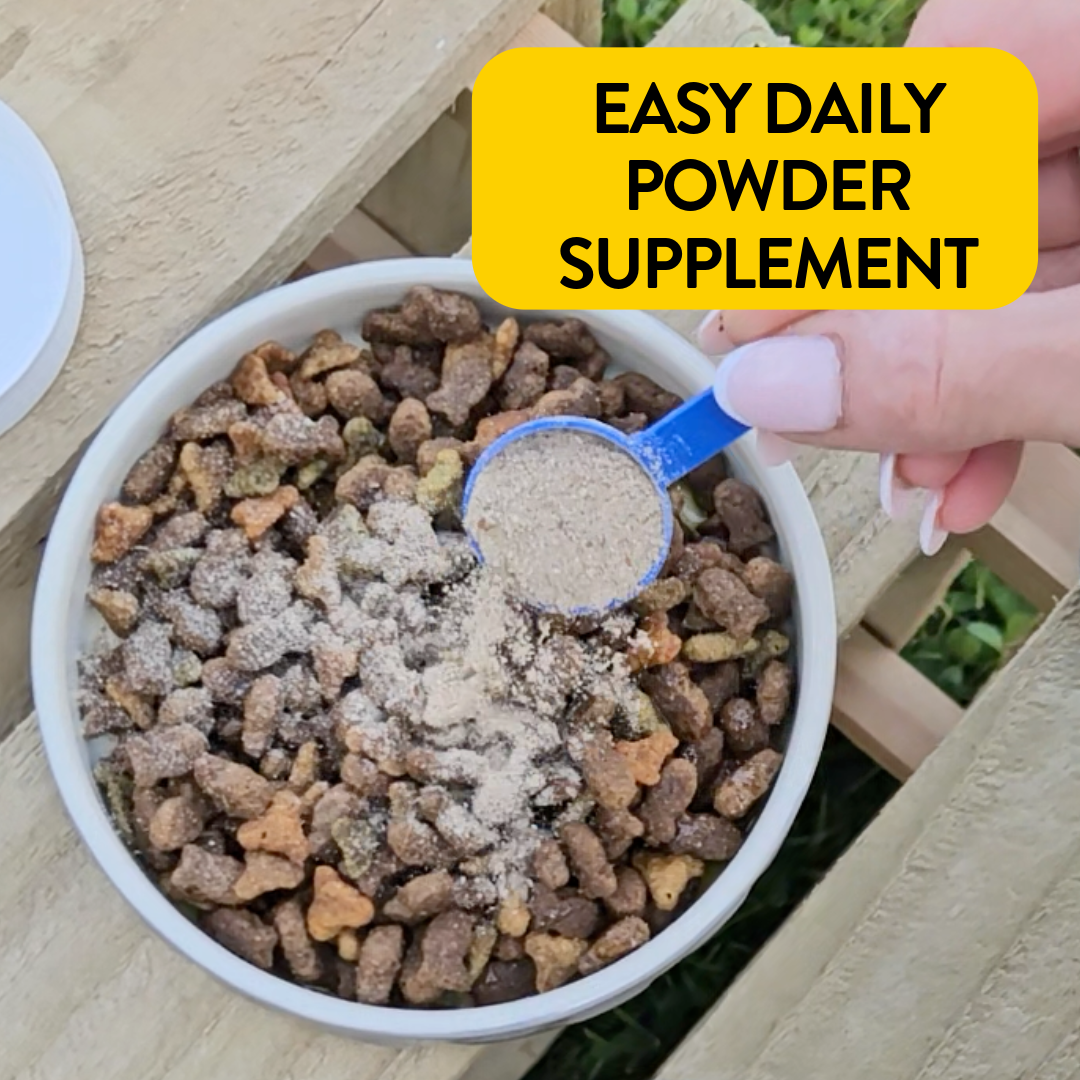 Proflax Calming Support for Dogs