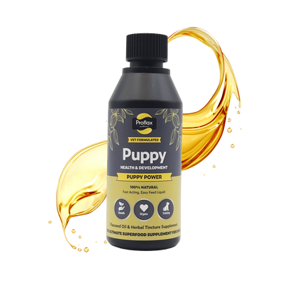 Puppy Digestion & Growth Support - Puppy Power